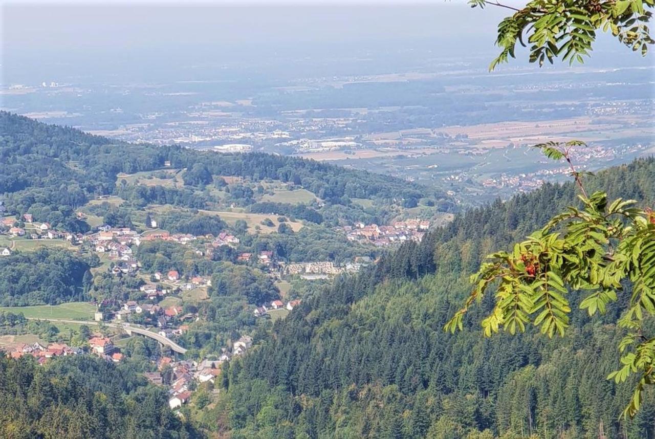 Ferienwohnung Paradies Weier Zewnętrze zdjęcie